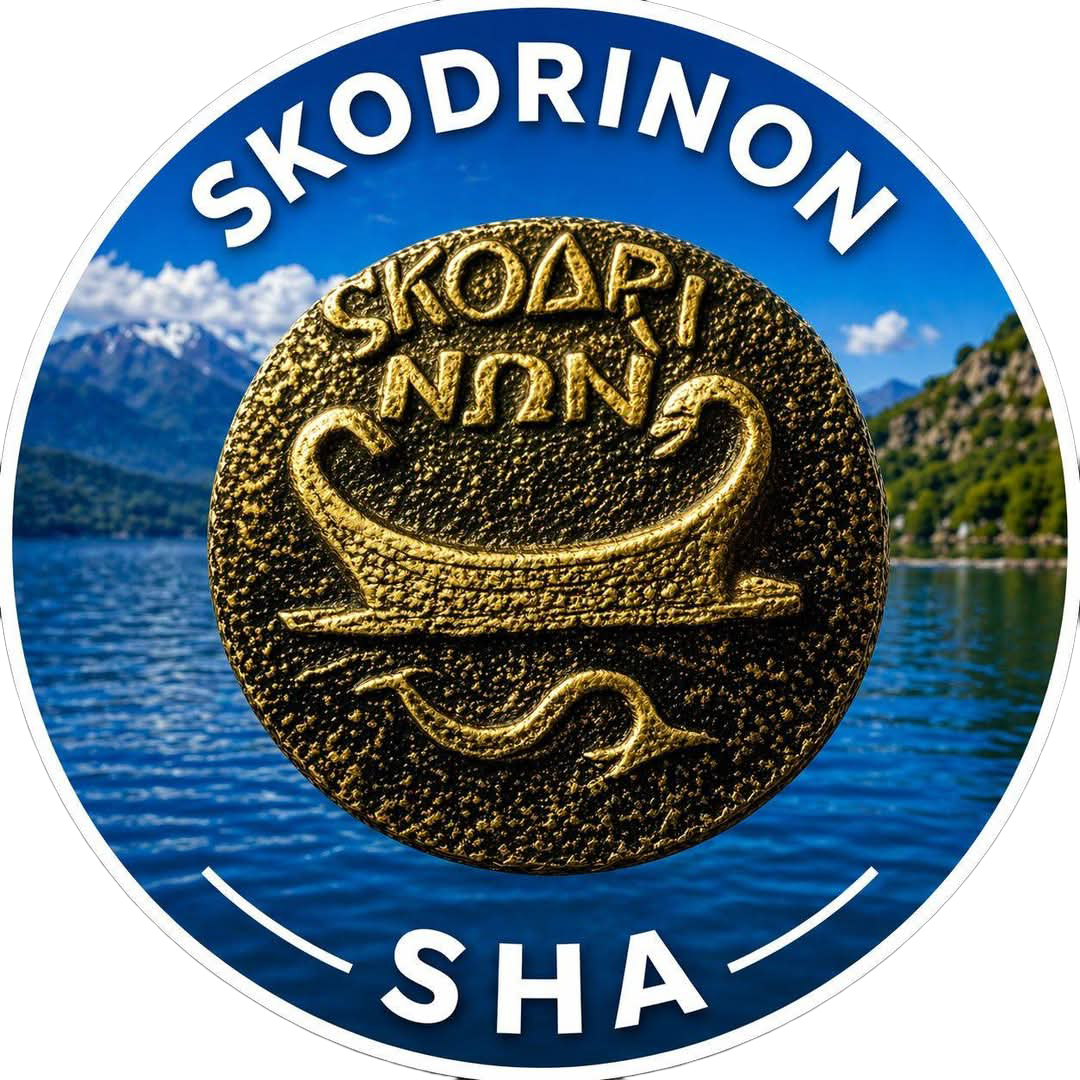 logo skodrinon